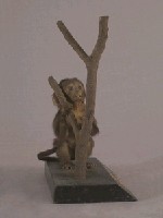 Formosan Rock-monkey Collection Image, Figure 4, Total 15 Figures
